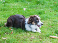 Sam1019_33