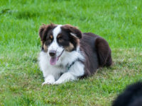 Sam1019_43